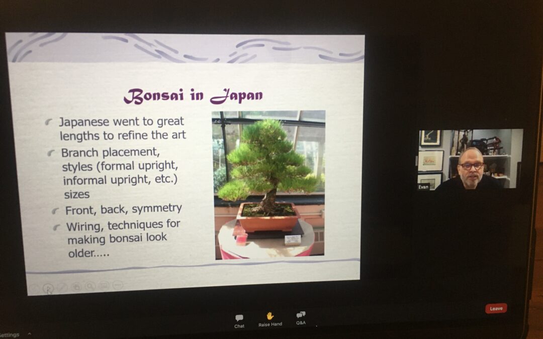 Bonsai: An Ancient Art Flourishing Today